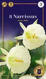 Narsissi Arctic Bells 8 kpl/pkt - Narsissit - 8711148245889 - 1