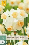 Narsissi Kapiti Peach 5 kpl/pkt - Narsissit - 8720873007419 - 1