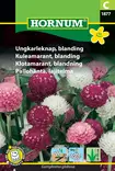 Pallohäntä, lajitelma - Kukkien ja koristeheinien siemenet - 5708787018779 - 0