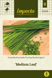 Ruohosipuli Medium Leaf - Vihannesten ja yrttien siemenet - 7332756230459 - 0