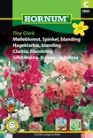 Silkkikukka, Komea-, lajitelma Tiny Clar - Kukkien ja koristeheinien siemenet - 5708787018359 - 0