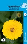 Tarhakehäkukka Yellow Gitana annos - Kukkien ja koristeheinien siemenet - 6415151703009 - 1