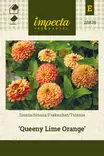Tsinnia Queeny Lime Orange - Kukkien ja koristeheinien siemenet - 7332756288399 - 0