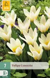 Tulppaani Concerto 7 kpl/pkt - Tulppaanit - 8712438507939 - 1