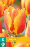 Tulppaani Flair 7 kpl/pkt - Tulppaanit - 8712438502309 - 2