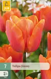 Tulppaani Jimmy 7 kpl/pkt - Tulppaanit - 8720873007129 - 1