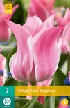 Tulppaani Miss Elegance 7kpl/pkt - Tulppaanit - 8712438982439 - 2
