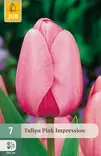 Tulppaani Pink Impression 7 kpl/pkt - Tulppaanit - 8712438504259 - 1