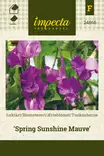 Tuoksuherne Spring Sunshine Mauve - Kukkien ja koristeheinien siemenet - 7332756248669 - 0