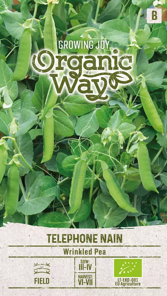 HERNE OG TÉLÉPHONE NAIN - Vihannesten ja yrttien siemenet - 4770168151369 - 0