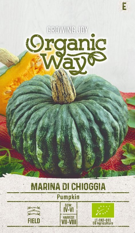 JÄTTIKURPITSA OG MARINA DI CHIOGGIA - Vihannesten ja yrttien siemenet - 4770168151239 - 0