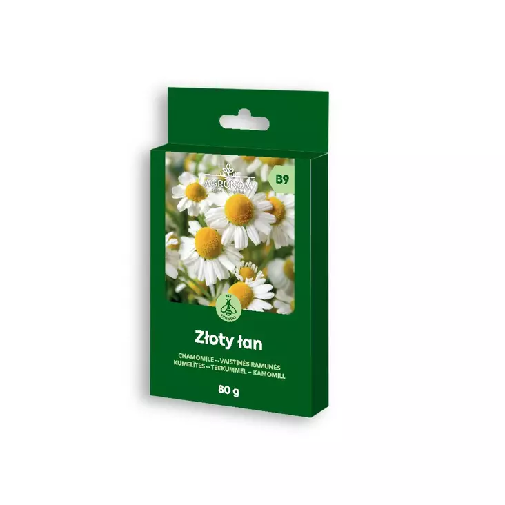 KAMOMILLA Zloty Lan - Kukkien ja koristeheinien siemenet - 4770168921139 - 0