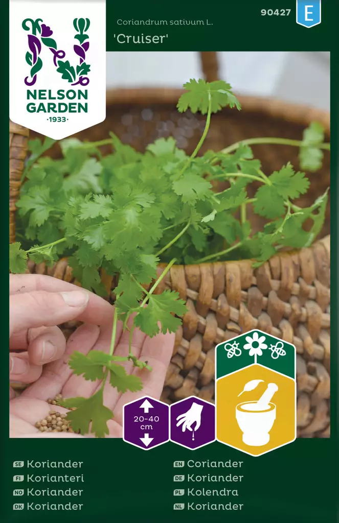 Korianteri, Cruiser - Kukkien ja koristeheinien siemenet - 7312600904279 - 0