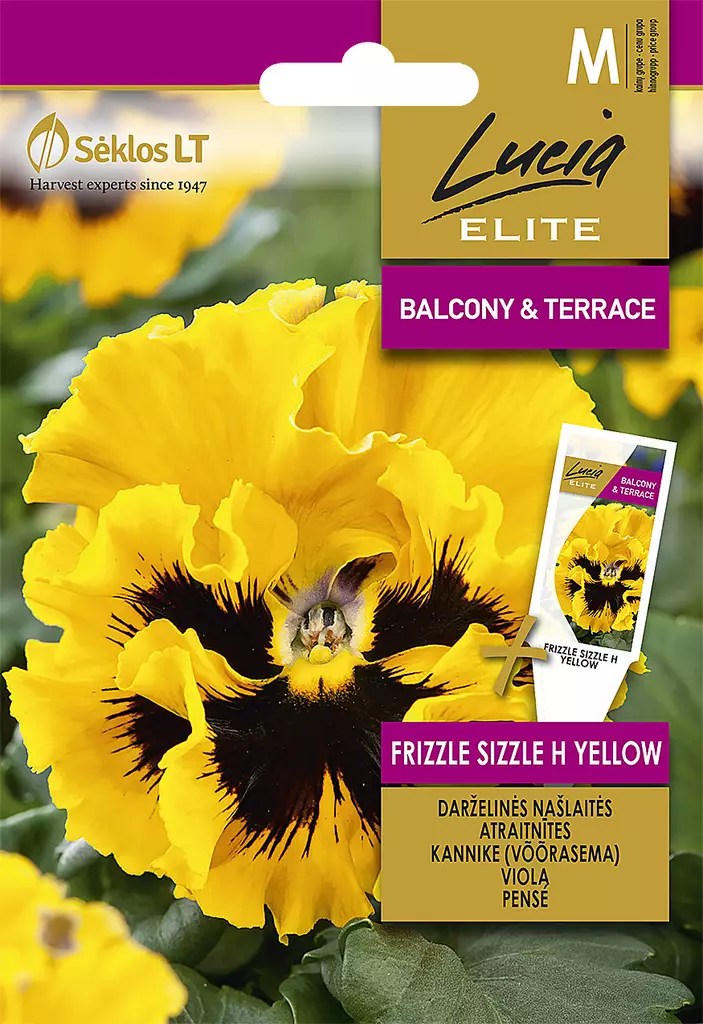 ORVOKKI ELITE FRIZZLE SIZZLE H YELLOW - Kukkien ja koristeheinien siemenet - 4770168242579 - 0