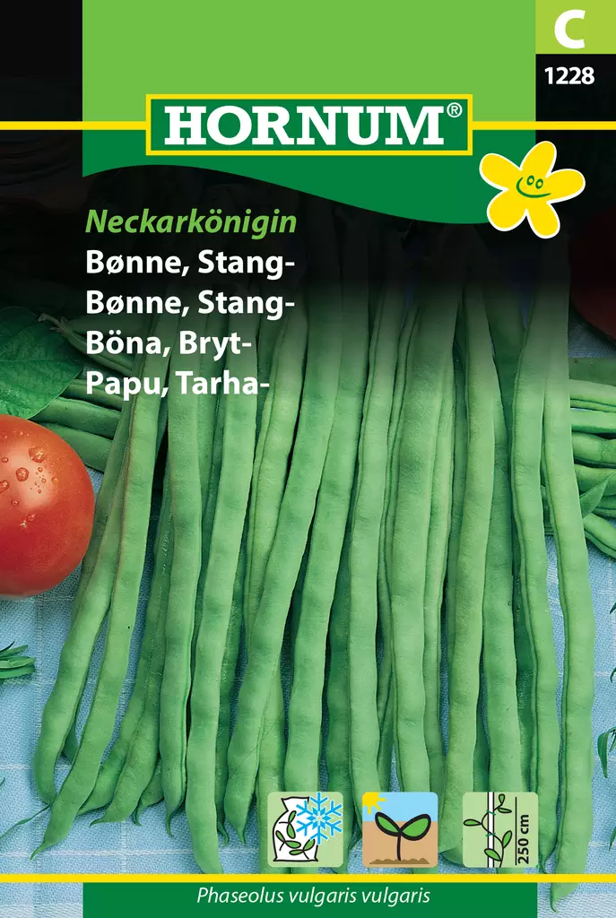 Papu, Tarha- Neckarkönigin - Vihannesten ja yrttien siemenet - 5708787012289 - 0