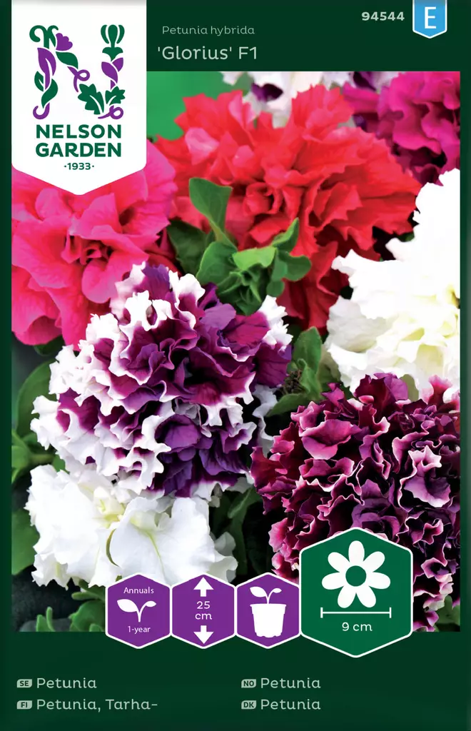 Petunia,Tarha-,Glorious F1, kerrottu - Kukkien ja koristeheinien siemenet - 7312600945449 - 0