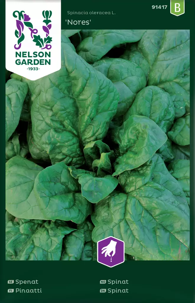 Pinaatti, Nores - Vihannesten ja yrttien siemenet - 7312600914179 - 0