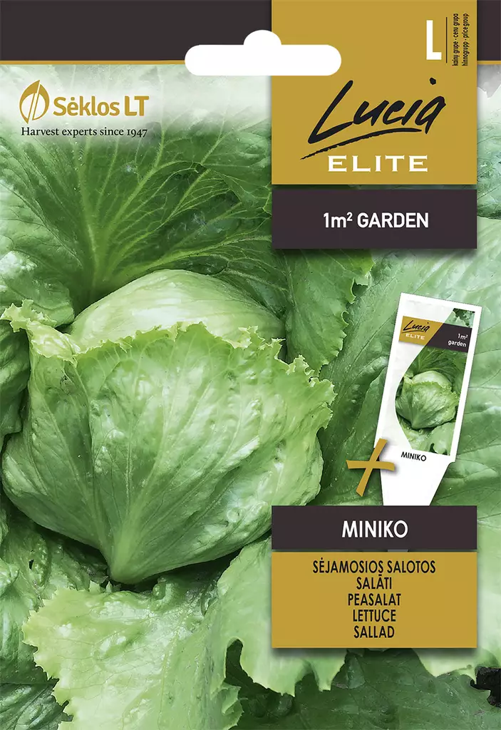 SALAATTI ELITE MINIKO - Vihannesten ja yrttien siemenet - 4770168142329 - 0