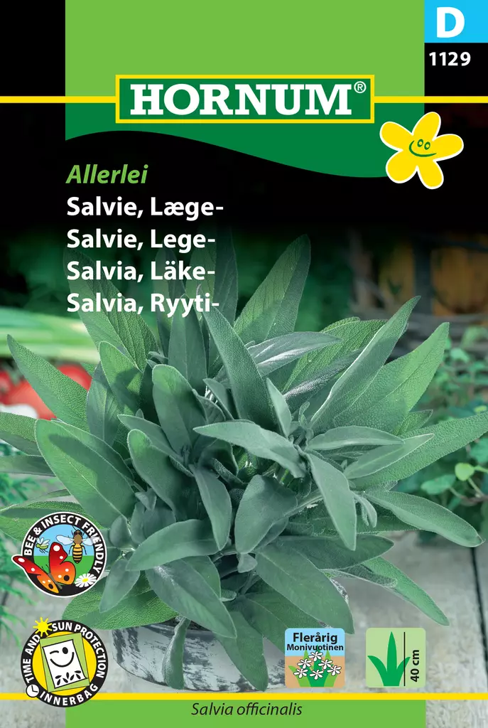 Salvia, Ryyti- Allerlei - Vihannesten ja yrttien siemenet - 5708787011299 - 0