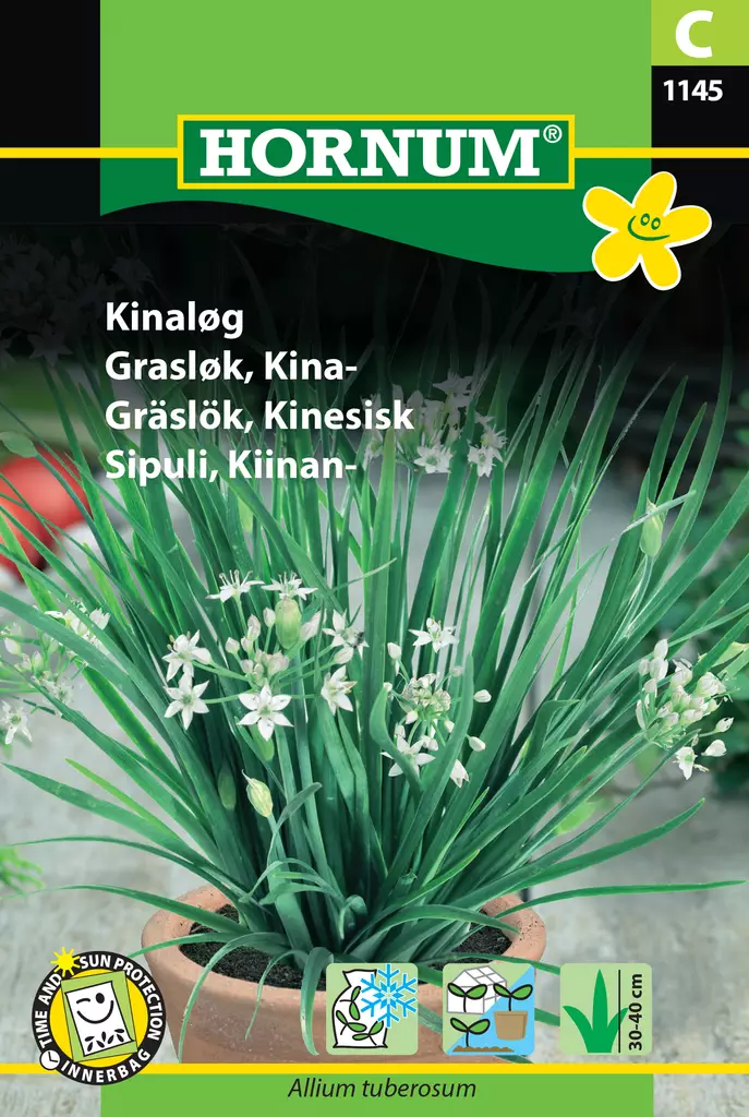 Sipuli, Kiinan- - Vihannesten ja yrttien siemenet - 5708787011459 - 0