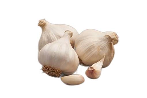 Talvivalkosipuli Flavor 250 g 50/60 - Ruokasipulit - 8711968481009 - 1