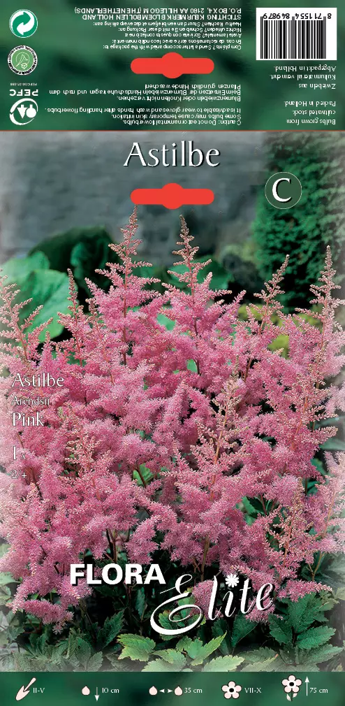 Tarhajaloangervo Pink - Puutarhakasvit - 8711554849879 - 1