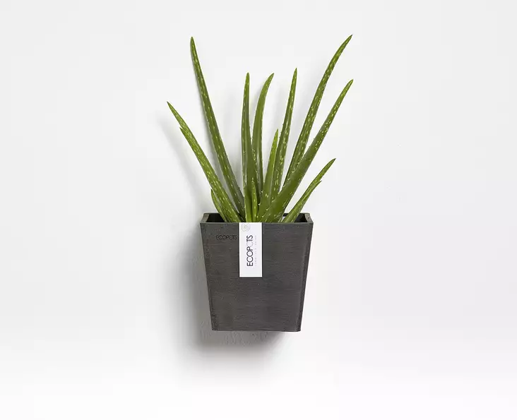 Ecopots Ruukku Manhattan Wall 15 cm - Ecopots ruukut ja lautaset - 5413724313809 - 1
