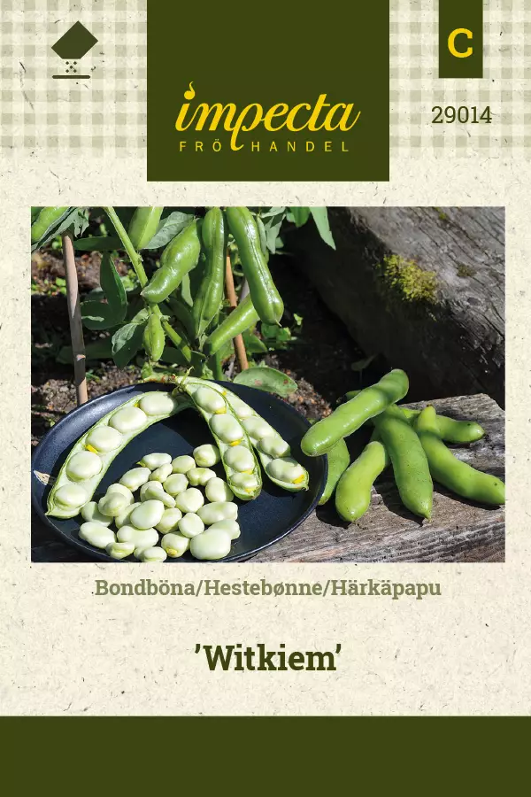 Härkäpapu Witkiem - Vihannesten ja yrttien siemenet - 7332756290149 - 1