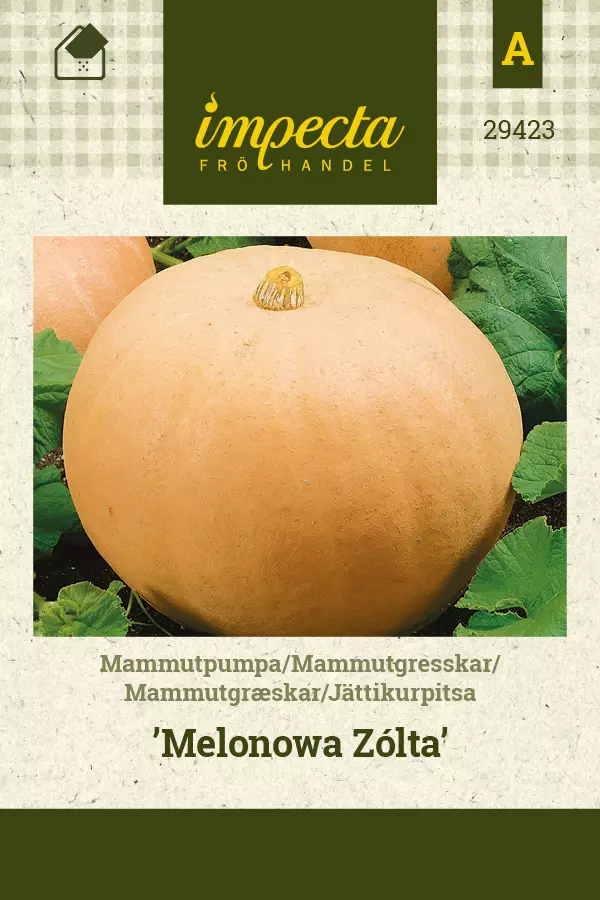 Jättikurpitsa Melonowa Zólta - Vihannesten ja yrttien siemenet - 7332756294239 - 0