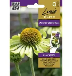 Kaunopunahattu Elite Alan´s Pride - Kukkien ja koristeheinien siemenet - 4770168926189 - 1