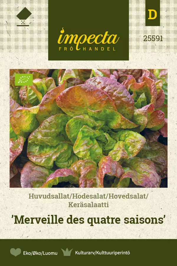 Keräsalaatti Merveille des Quatre saison - Vihannesten ja yrttien siemenet - 7332756255919 - 1