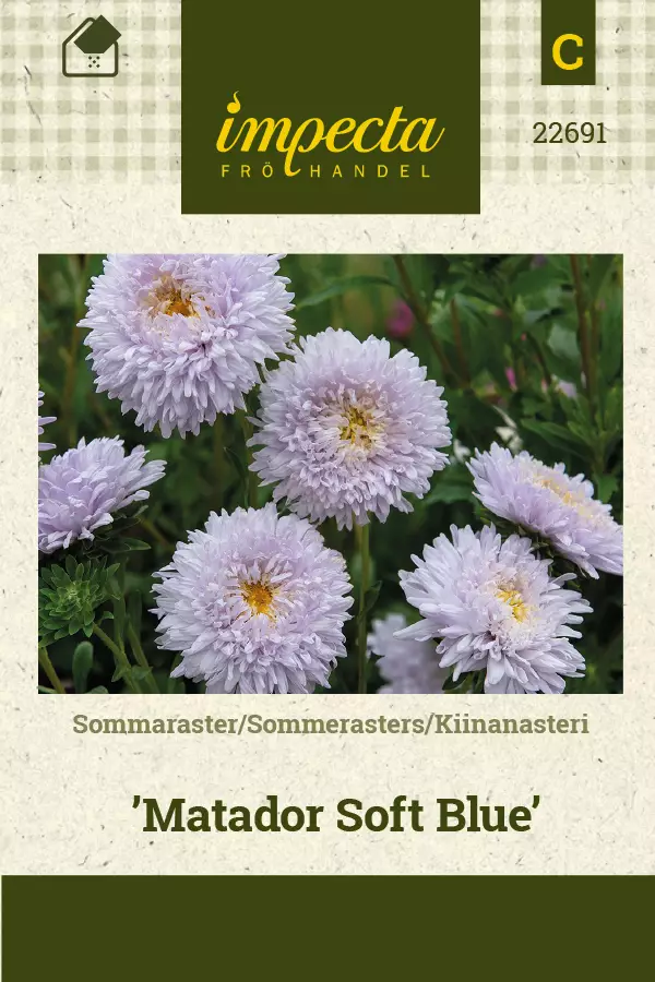 Kesäasteria Matador Soft Blue - Kukkien ja koristeheinien siemenet - 7332756226919 - 1