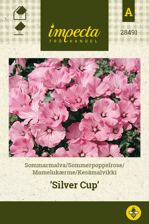 Kesämalvikki Silver Cup - Kukkien ja koristeheinien siemenet - 7332756284919 - 0
