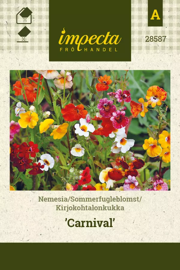 Kirjokohtalonkukka Carnival - Kukkien ja koristeheinien siemenet - 7332756285879 - 0