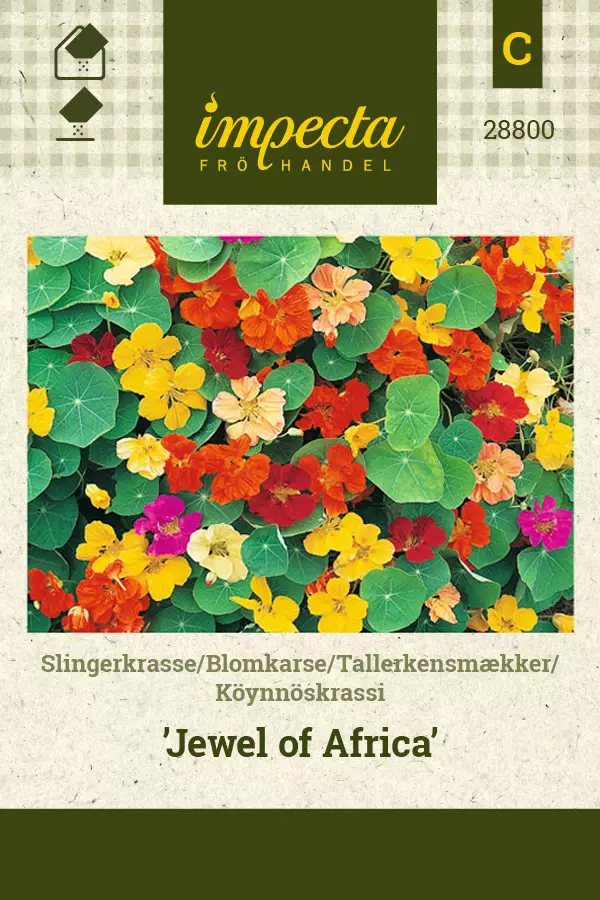 Köynnöskrassi Jewel of Africa - Kukkien ja koristeheinien siemenet - 7332756288009 - 0