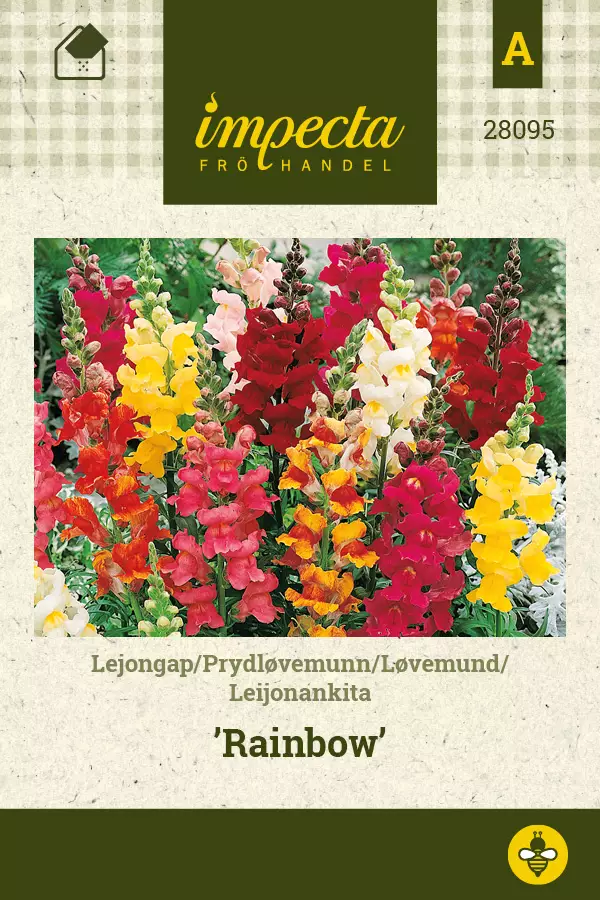 Leijonankita Rainbow - Kukkien ja koristeheinien siemenet - 7332756280959 - 0