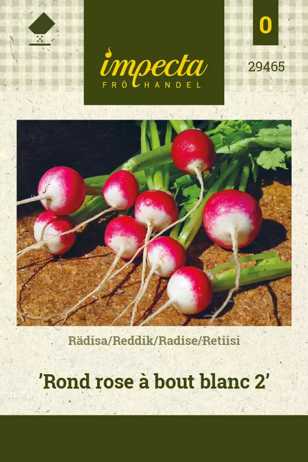 Retiisi Rond rose à bout blanc 2 - Vihannesten ja yrttien siemenet - 7332756294659 - 0