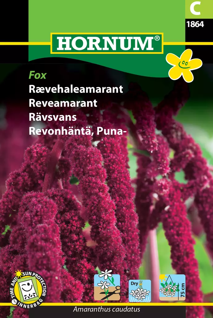 Revonhäntä, Puna- Fox - Kukkien ja koristeheinien siemenet - 5708787018649 - 0