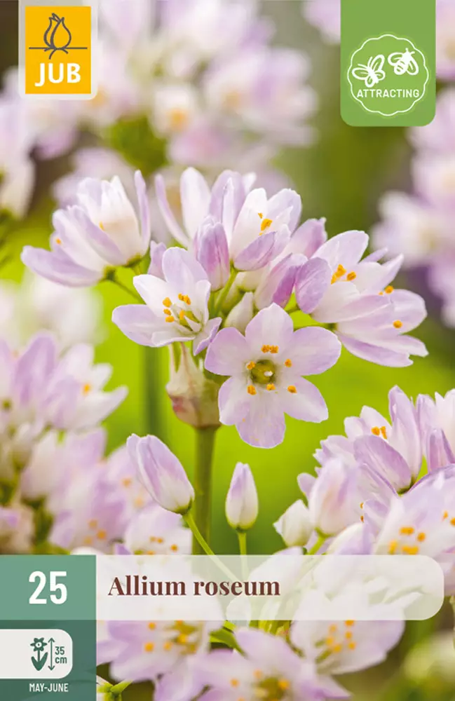 Rusolaukka Roseum 25 kpl/pkt - Laukat - 8712438517549 - 1
