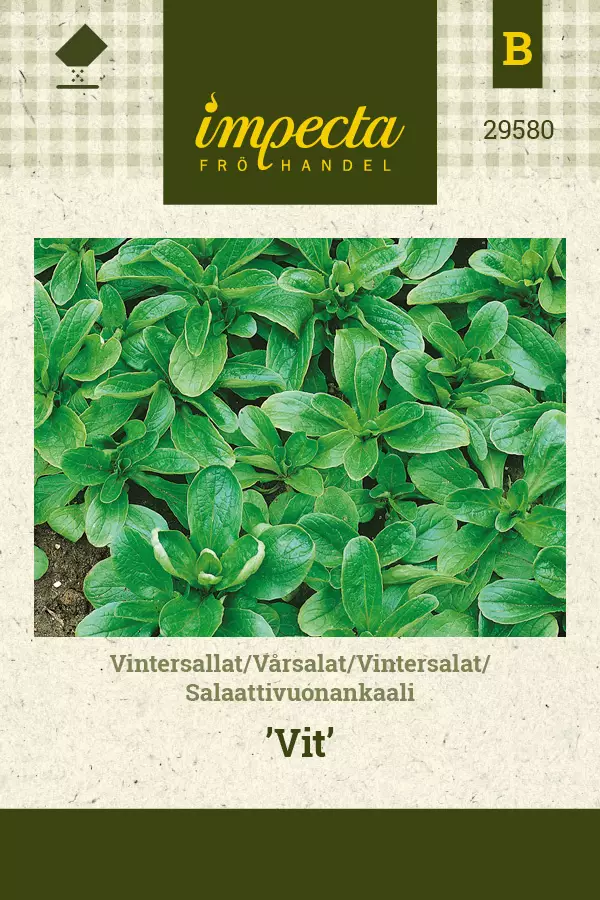 Salaattivuonankaali Vit - Vihannesten ja yrttien siemenet - 7332756295809 - 0
