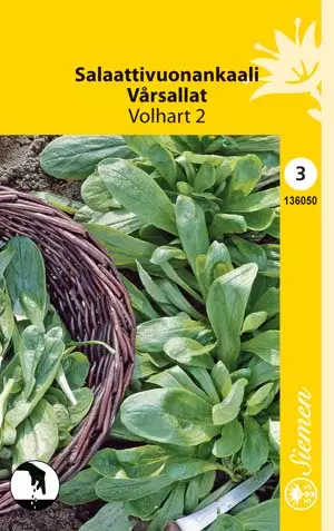 Salaattivuonankaali Volhart 2 - Vihannesten ja yrttien siemenet - 6415151360509 - 1