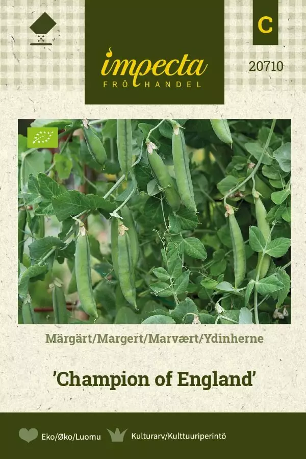 Silpoydinherne Champion of England - Vihannesten ja yrttien siemenet - 7332756207109 - 1