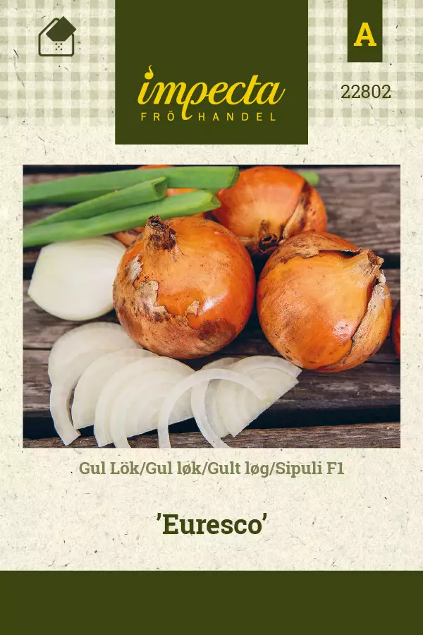 Sipuli F1 Euresco - Kukkien ja koristeheinien siemenet - 7332756228029 - 0
