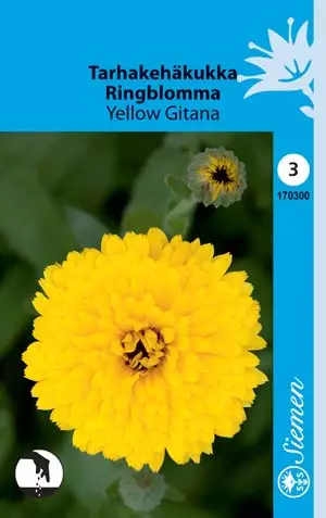 Tarhakehäkukka Yellow Gitana annos - Kukkien ja koristeheinien siemenet - 6415151703009 - 1
